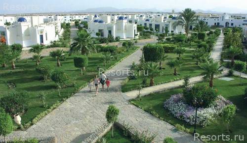 Lilly Land Beach Club 3